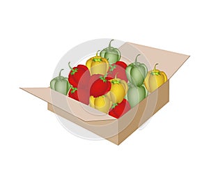 Fresh Bell Peppers in A Shipping Box