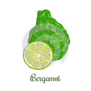 Fresh bergamot or Citrus bergamia. Whole and half.