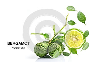 Fresh bergamot fruit or kaffir lime with cut in half on white background with copy space