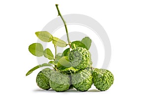 Fresh bergamot fruit or kaffir lime with cut in half on white background with clipping path.