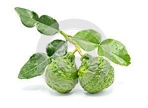 Fresh Bergamot fruit with leaf isolated on white background