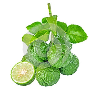 Fresh bergamot or kaffir lime fruit isolated on white background
