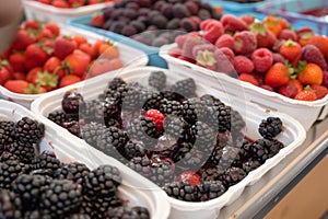 fresh berries being sorted for jammaking session