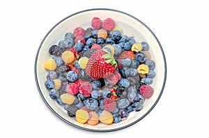 Fresh Berries in Bowl
