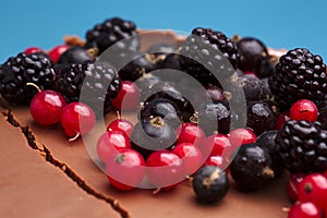 Fresh berries and cocolate