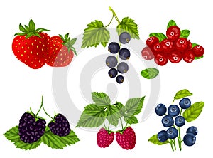 Fresh berries set photo