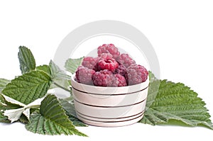 Fresh berries in wood bowl isolated