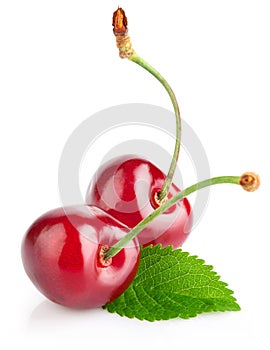 fresh berry cherry with green leaf
