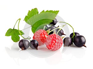Fresh berry fruits with green leaves