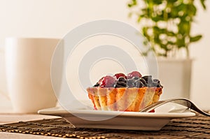 Fresh berry tartlet or cake filled with custard, raspberry, blueberry redcurrant and blackberry delicious dessert, easy diet. Clos