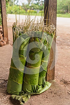 Fresh big green banana leaves in market, Luganville, Vanuatu