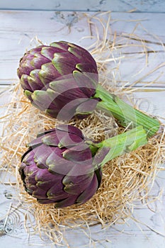 Fresh big Romanesco artichokes green-purple flower heads ready t