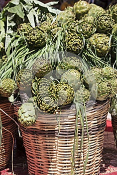 Background of fresh artichokes. Background of fresh artichokes. Fresh artichokes on display at the farmers` market for sale.