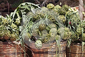 Background of fresh artichokes. Background of fresh artichokes. Fresh artichokes on display at the farmers` market for sale.