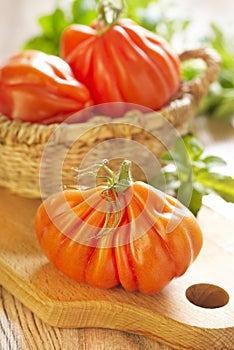 Fresh big tomatoes