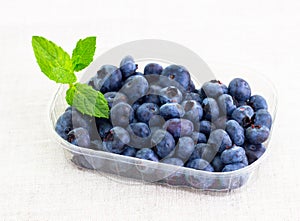 Fresh bilberries in a bowl