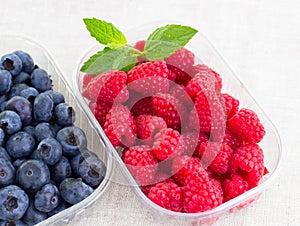 Fresh bilberries and raspberries in a bowl