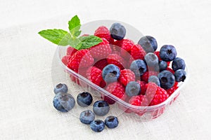 Fresh bilberries and raspberries in a bowl