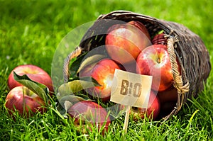 Fresh Bio apples on display at market