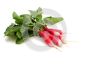 Fresh bio long radish