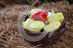 Fresh bio vegetables in a basket - red Californian pepper, eggplant, fresh corn, cob, yellow pepper, basket, kosh