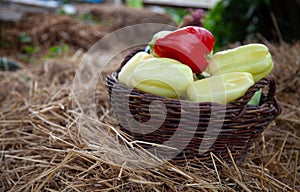 Fresh bio vegetables in a basket - red Californian pepper, eggplant, fresh corn, cob, yellow pepper, basket, kosh