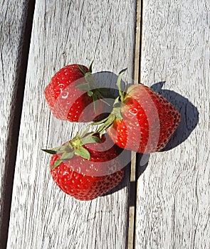 Fresh Biological Strawberries on wood, Still Life photo
