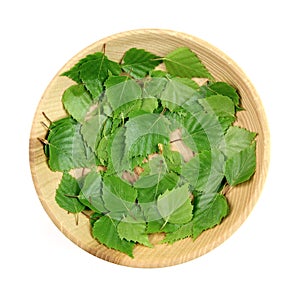 Fresh birch leaves in bowl, isolated on wihte background, herb