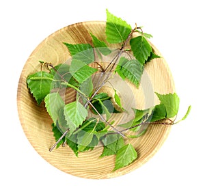 Fresh birch twig leaves in bowl, isolated on wihte background, herb