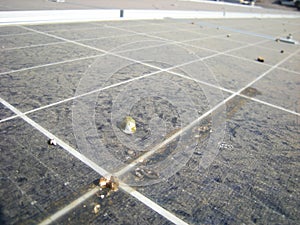 Fresh Bird Poop on Dusty Solar Panel Surface