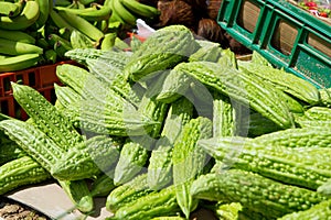 Fresh bitter melon or gourd