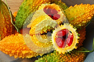 Fresh bitter melons on net, closeup view