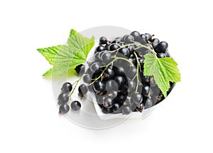 Fresh black currant in ceramic bowl isolated on white