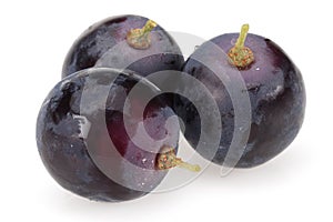 Fresh black grapes isolated on white