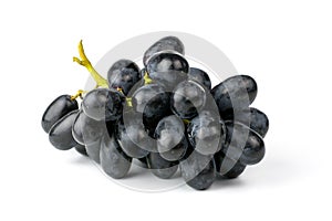 Fresh black grapes isolated on white background.