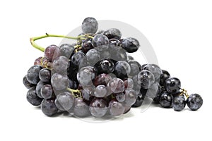 Fresh black grapes on isolated white background. bunch of black grapes freshly picked from the branch.