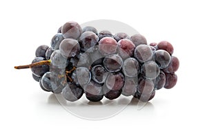 fresh black grapes on white background