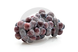 fresh black grapes on white background