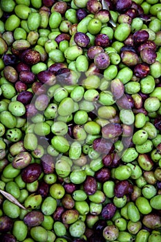 Fresh black and green olives sold at a market