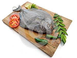 Fresh Black Pomfret Fish decorated with herbs and vegetables on a wooden pad Selective focus photo