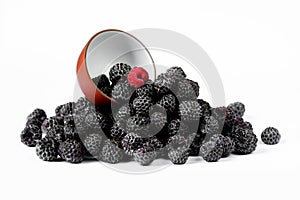 Fresh black raspberries Cumberland isolated on white