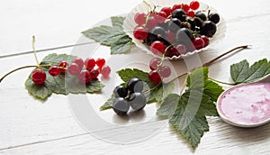 Fresh black and red currant with green leaves on white wooden boards. Homemade yogurt with berries  in spoon