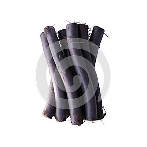 Fresh black salsify root vegetable bundle harvest