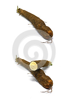 Fresh black salsify on white background
