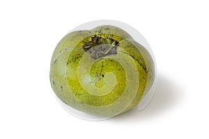 Fresh black sapote fruit