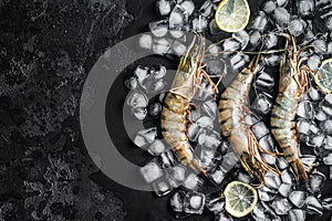 Fresh Black tiger prawns shrimps with lemon on ice. Raw Seafood. Black background. Top view. Free copy space