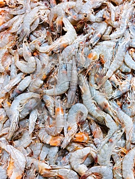 Fresh black tiger shrimp. Seafood cooking concept. Healthy food. Recipe ingredient. Market product