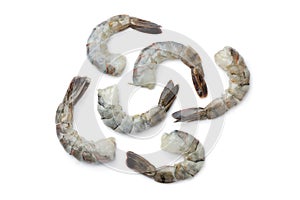 Fresh black tiger shrimp tails