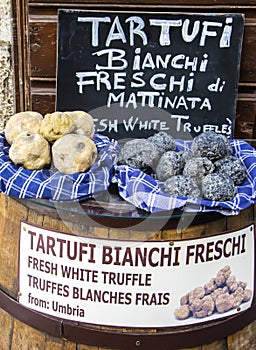 Fresh black and white expensive truffles.