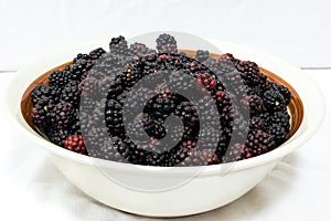 Fresh Blackberries.